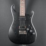 PRS Fiore HH Satin Black Hyacinth #249