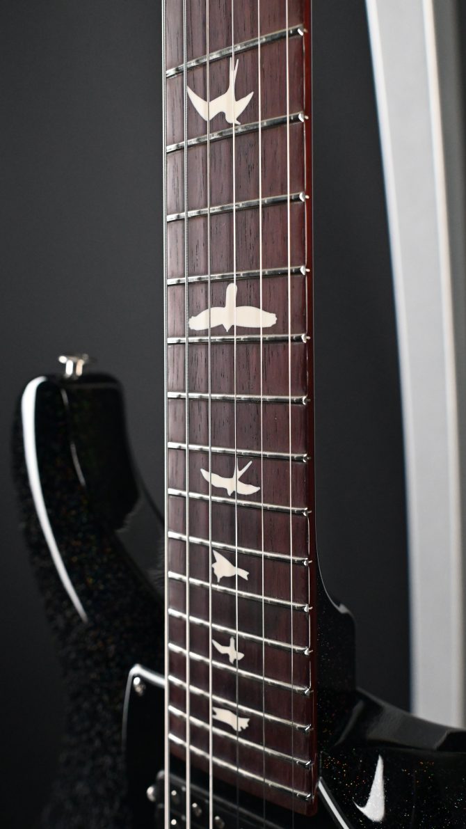 PRS S2 Vela Semi Hollow Rainbow Hollowflake #262 w/ Reclaimed Neck