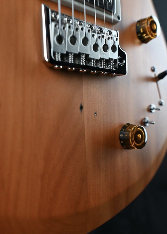 PRS S2 Special Semi-Hollow Reclaimed Limited Edition #799