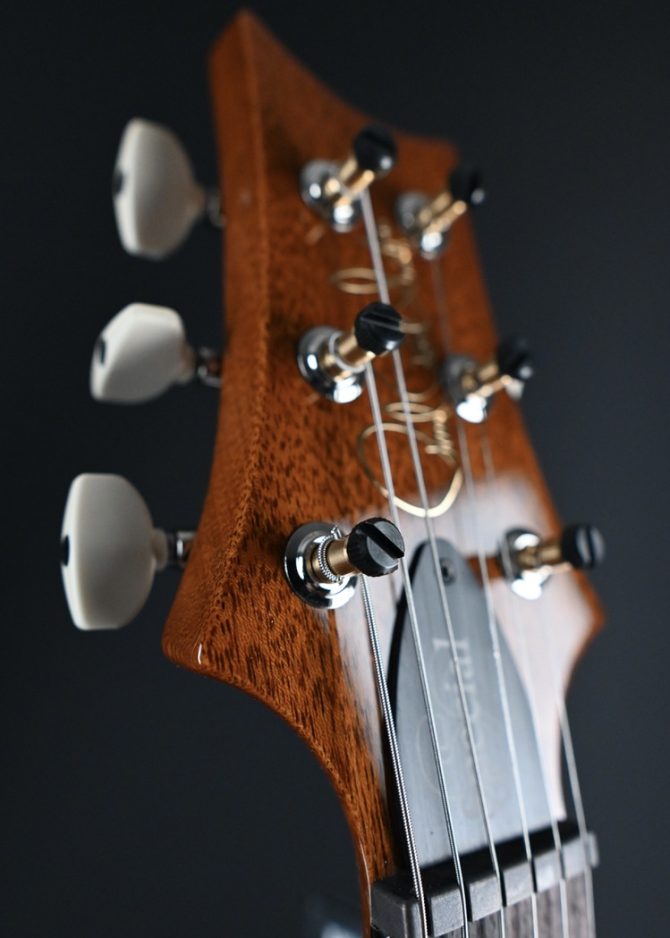 PRS S2 Special Semi-Hollow Vintage Natural #838