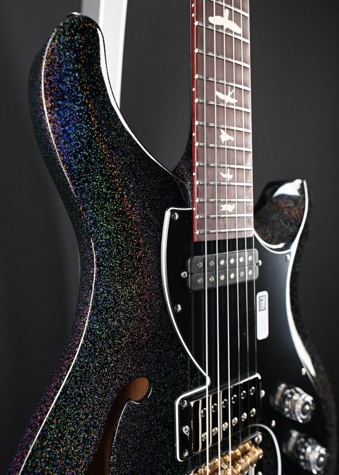 PRS S2 Vela Semi Hollow Rainbow Hollowflake #374
