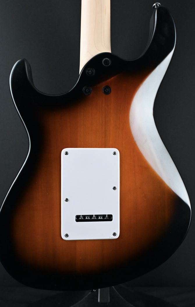 Cort G110OPSB Open Pore Sunburst #483