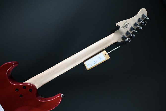 Cort G110OPBC Open Pore Black Cherry #393