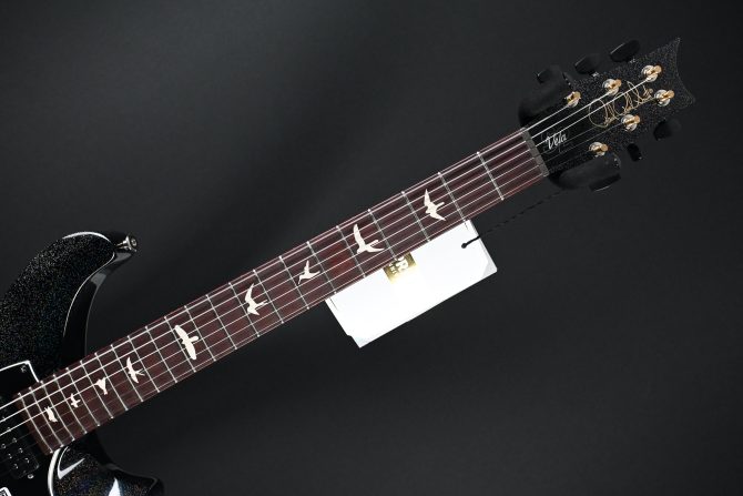 PRS S2 Vela Semi Hollow Rainbow Hollowflake #374