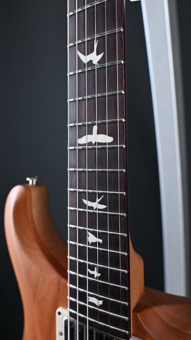 PRS S2 Special Semi-Hollow Reclaimed Limited Edition #184 (Copy)