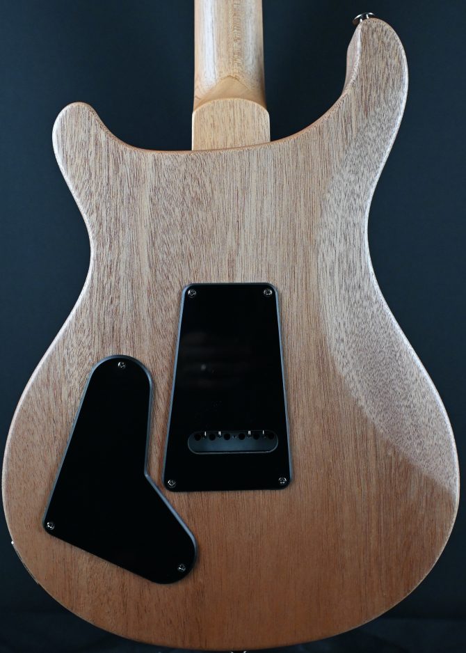 PRS S2 Special Semi-Hollow Reclaimed Limited Edition #799