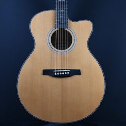 PRS SE A50 Angelus Black Gold #289