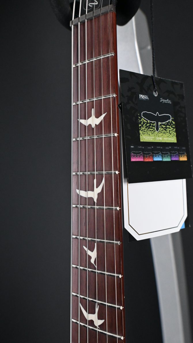 PRS S2 Vela Semi Hollow Rainbow Hollowflake #347 w/ Reclaimed Neck