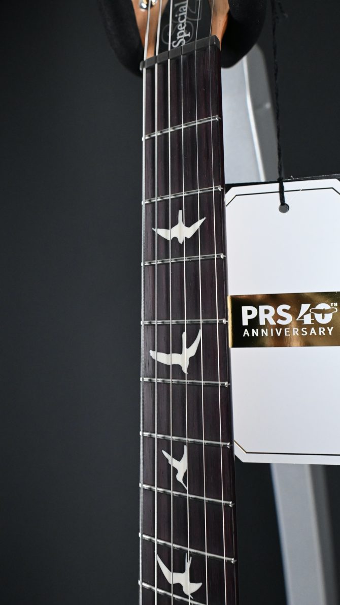 PRS S2 Special Semi-Hollow Reclaimed Limited Edition #184 (Copy)