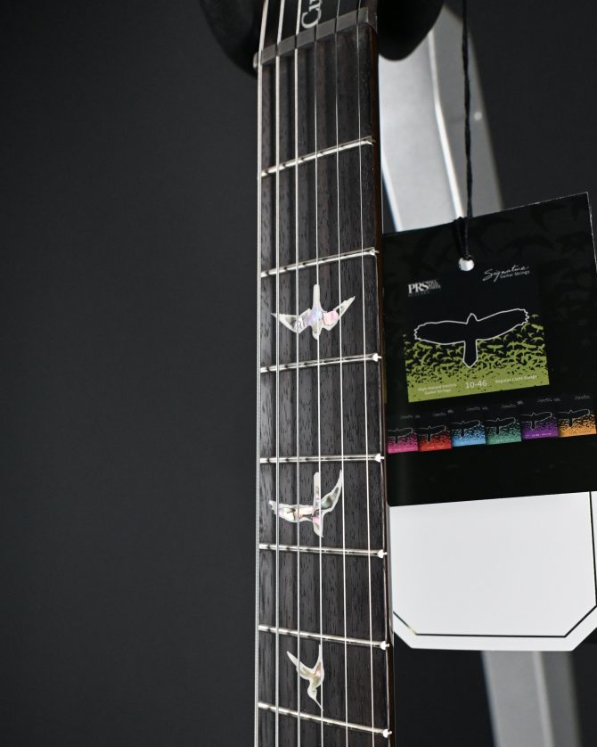 PRS Custom 24 Piezo Sprayer's Choice Blue/Green Holoflake #730