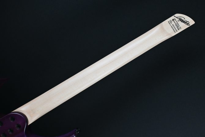 Legator G6FSS-PR Purple Flame Multi Scale #458