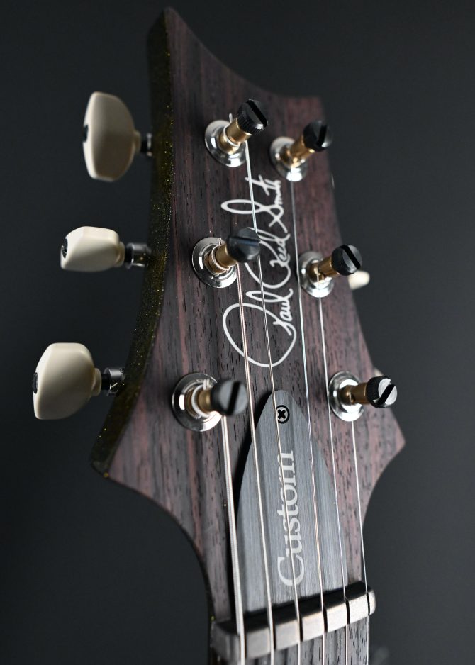 PRS Custom 24 Piezo Sprayer's Choice Blue/Green Holoflake #730