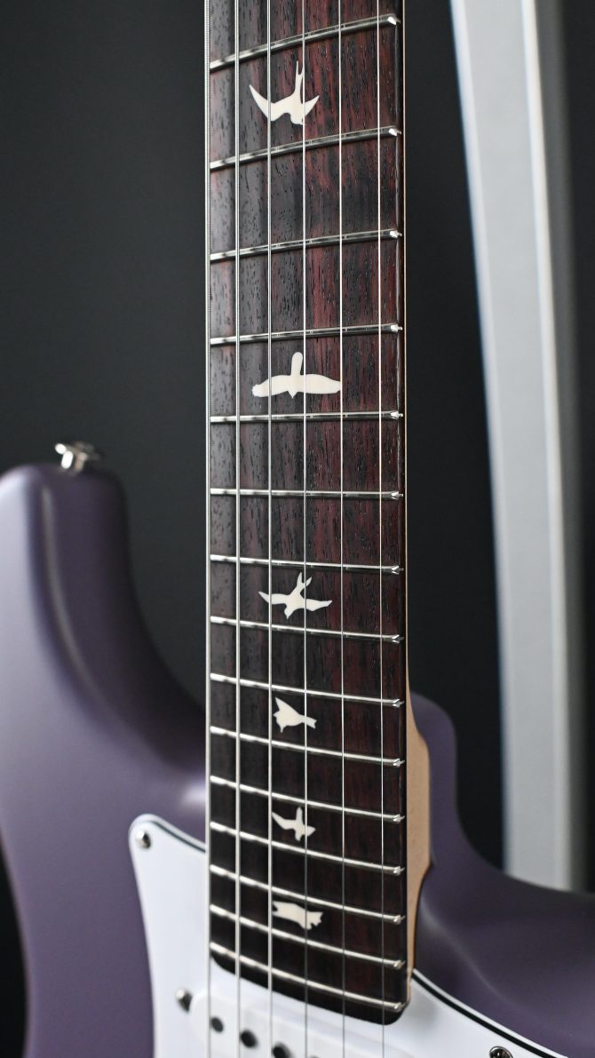 PRS Silver Sky Rosewood Satin Black Plum #843
