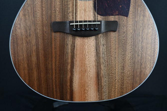 Ibanez PC50WSCE-OPB Open Pore Brown Acoustic Guitar #414