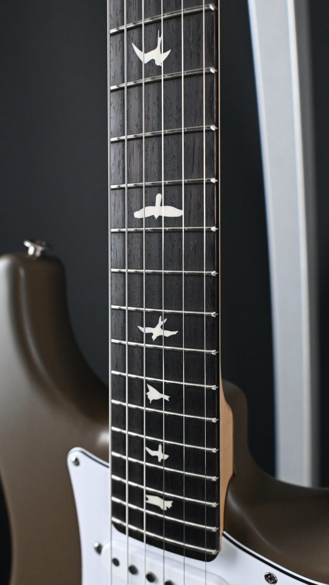 PRS Silver Sky Rosewood Satin Mojave Brown #314