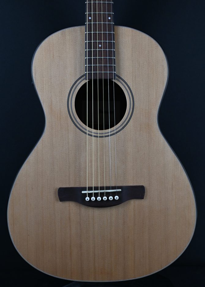 Ibanez PN50TKE-NDH Natural w/ Dark Brown Sunburst Back and Sides #286