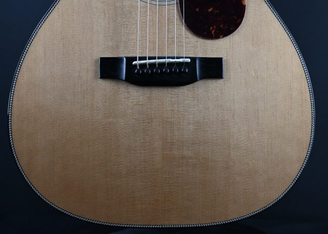 Eastman E3OM Deluxe Orchestra Model #607