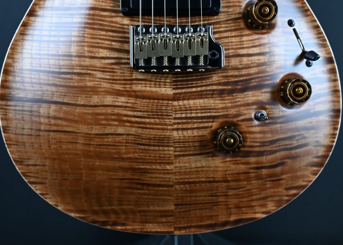 PRS Wood Library Custom 24 Piezo 10-Top Copperhead #156