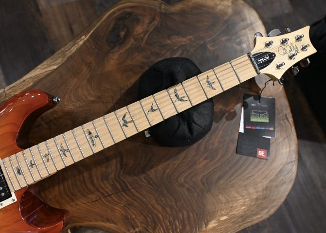 PRS SE Swamp Ash Special Vintage Sunburst 2024