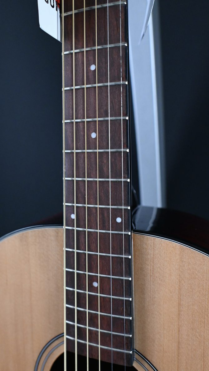 Ibanez PN50TKE-NDH Natural w/ Dark Brown Sunburst Back and Sides #286