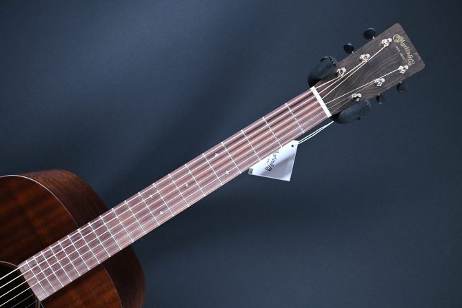 Martin D-10E Retro Sapele #460
