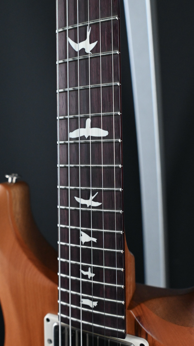 PRS S2 Special Semi-Hollow Reclaimed Limited Edition #992