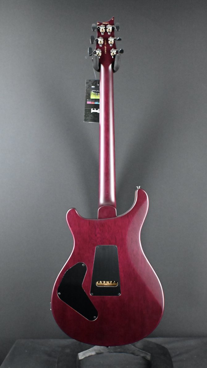 PRS Wood Library Custom 24 Piezo 10-Top Aurora Borealis #159