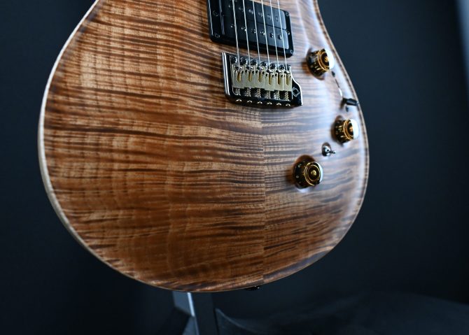 PRS Wood Library Custom 24 Piezo 10-Top Copperhead #156