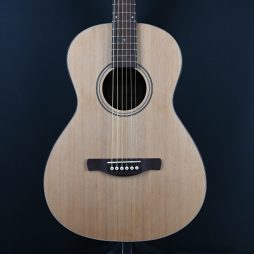 Ibanez PN50TKE-NDH Natural w/ Dark Brown Sunburst Back and Sides #286