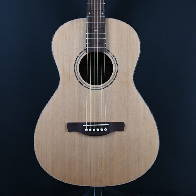 Ibanez PN50TKE-NDH Natural w/ Dark Brown Sunburst Back and Sides #286