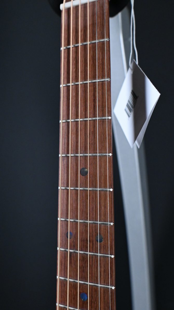 Martin GPC-X2E Cocobolo #055