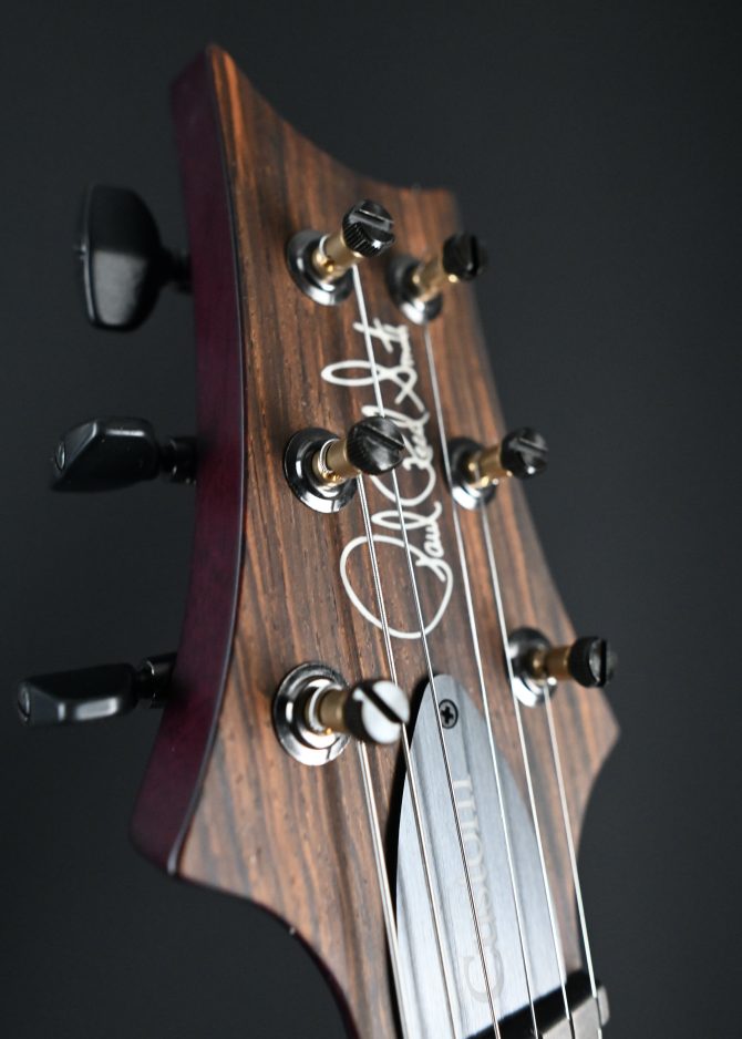 PRS Wood Library Custom 24 Piezo 10-Top Aurora Borealis #159