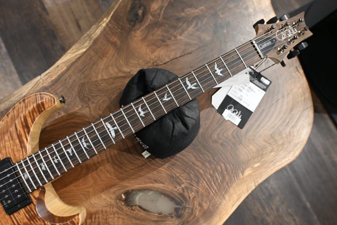 PRS Wood Library Custom 24 Piezo 10-Top Copperhead #156
