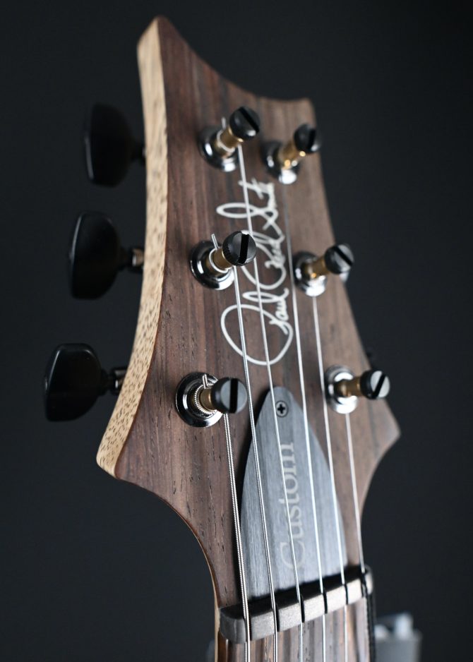 PRS Wood Library Custom 24 Piezo 10-Top Copperhead #156