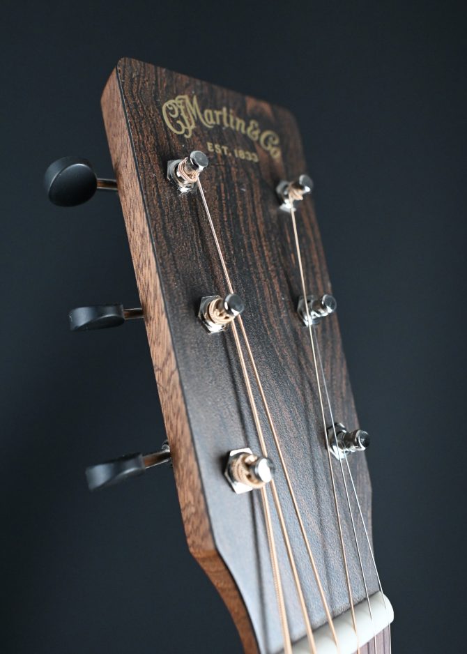 Martin D-10E Retro Sapele #460