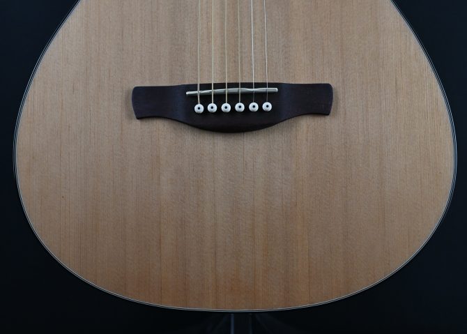 Ibanez PN50TKE-NDH Natural w/ Dark Brown Sunburst Back and Sides #286