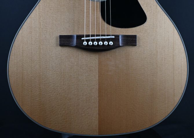 Eastman PCH2-GACE Thermo-Cure Natural Grand Auditorium #918