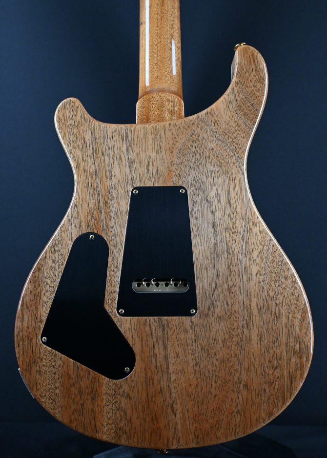 PRS Limited Edition Custom 24 10-Top Arctic Blue #211