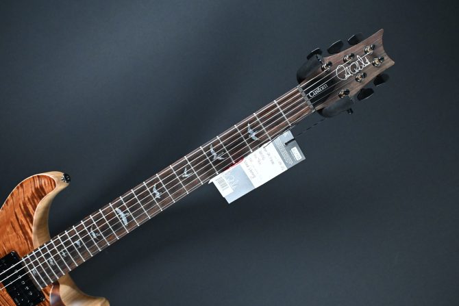 PRS Wood Library Custom 24 Piezo 10-Top Copperhead #156