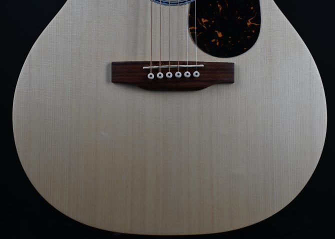 Martin GPC-X2E Cocobolo #055