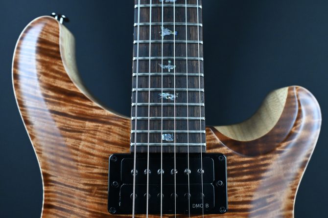 PRS Wood Library Custom 24 Piezo 10-Top Copperhead #156