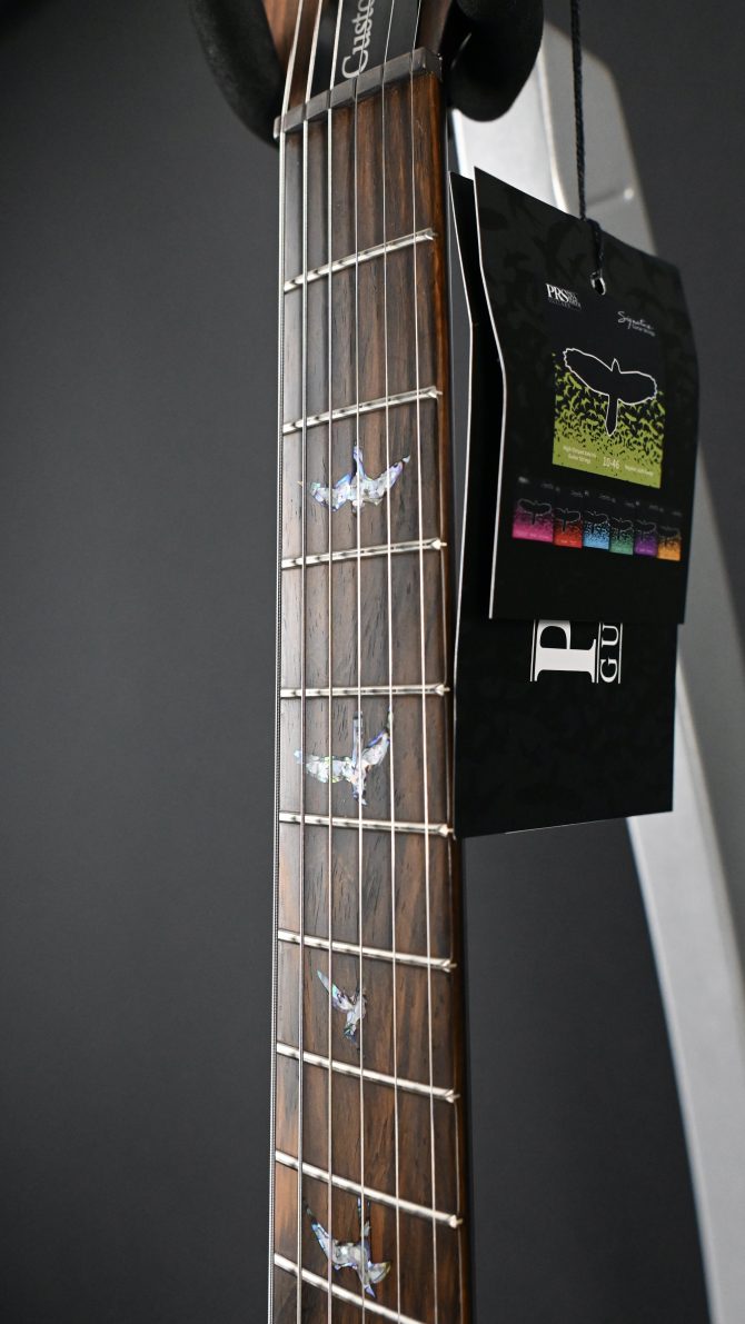 PRS Wood Library Custom 24 Piezo 10-Top Aurora Borealis #159