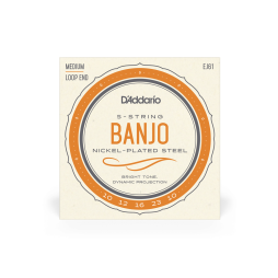 D'Addario 5-String Banjo Strings EJ61 Medium 10-23