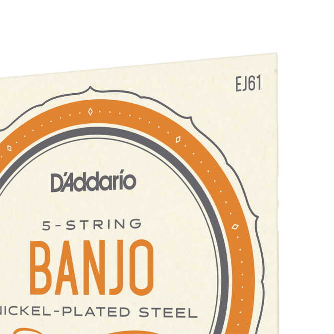 D'Addario 5-String Banjo Strings EJ61 Medium 10-23