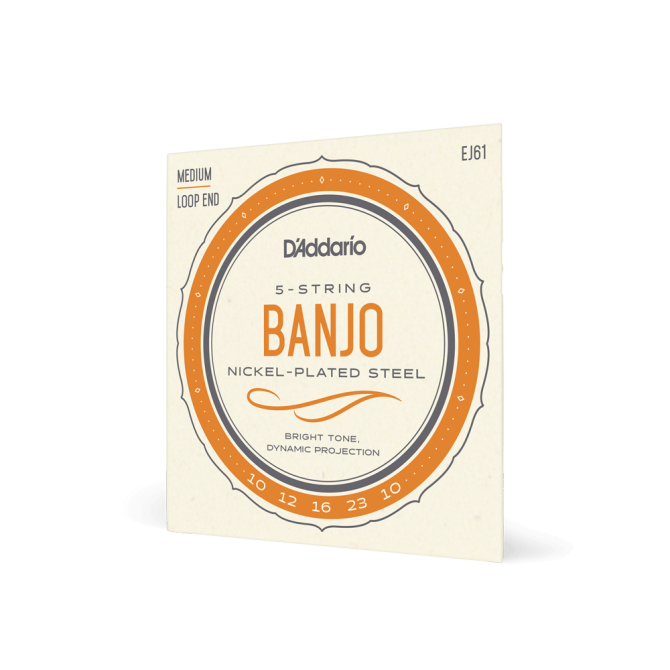 D'Addario 5-String Banjo Strings EJ61 Medium 10-23