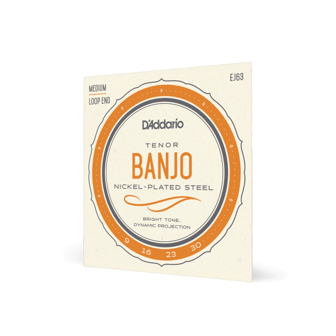 D'Addario Tenor Banjo Strings EJ63 09-30
