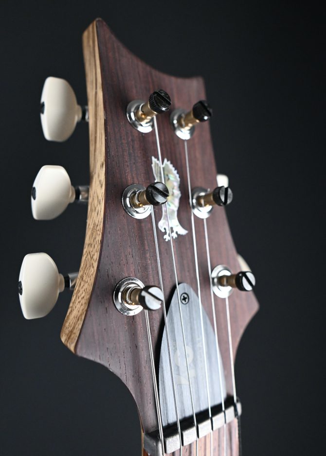 PRS 40th Anniversary Special Semi-Hollow Limited Edition Faded Whale Blue (Natural Back) #755