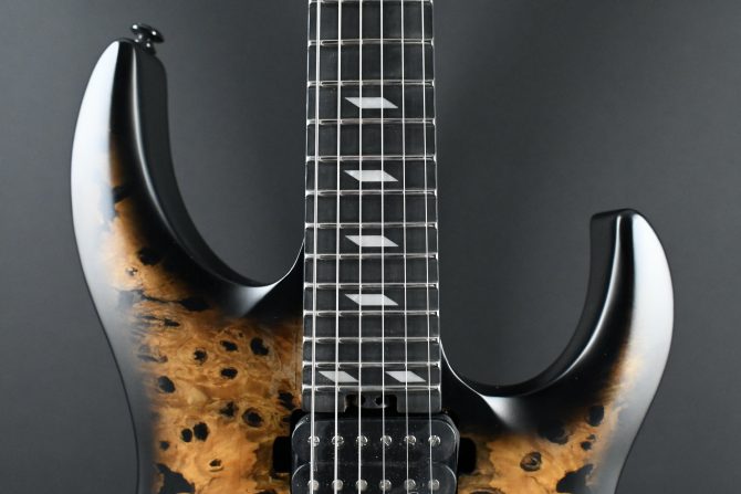 Legator N300-PRO-DV Death Valley #011