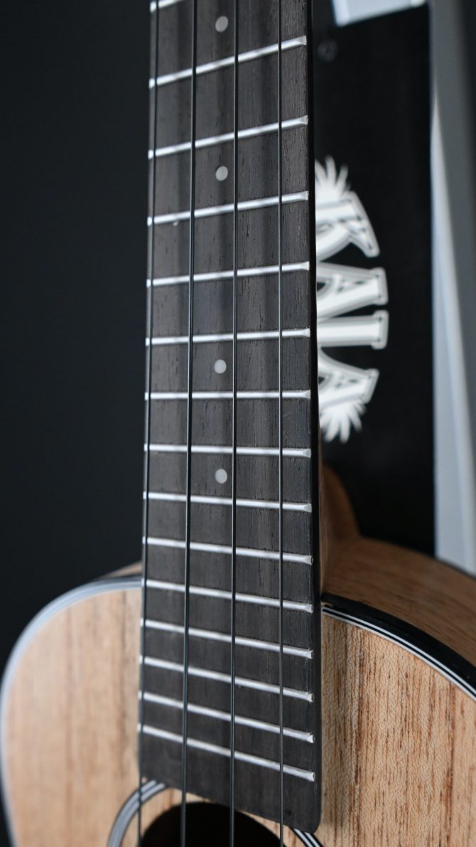 Kala KA-CLM-C Cape Lilac Mahogany Concert Ukulele with Bag #2511