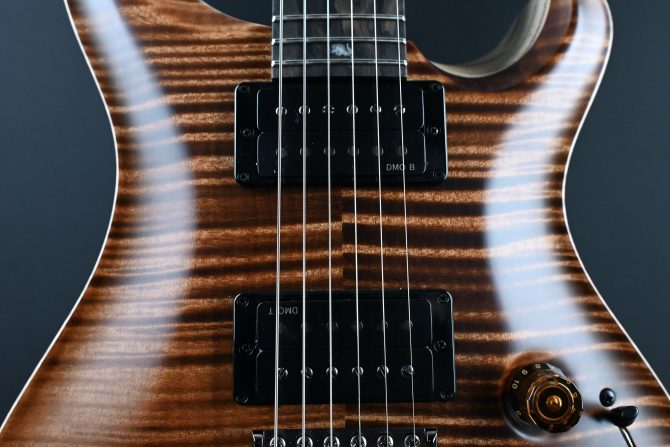 PRS Wood Library Custom 24 Piezo 10-Top Copperhead #604